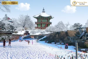 Paket Tour Korea Selatan Awal Tahun Bulan Januari 2024 | Musim Dingin