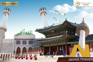Paket Tour Korea Selatan Bulan Agustus 2023