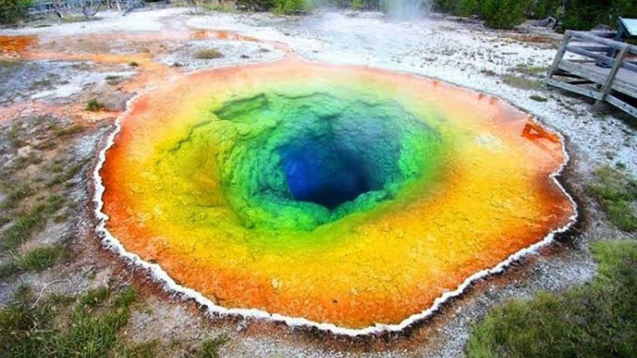 Wisata Amerika Taman Yellowstone