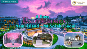 Paket Wisata Halal 6 Hari Exotic Korea, Nami Island, Mt. Sorak, dan Seoul