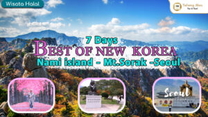 Paket Wisata 7D6N Best of New Korea, Incheon, Nami Island, Mt. Sorak, dan Seoul