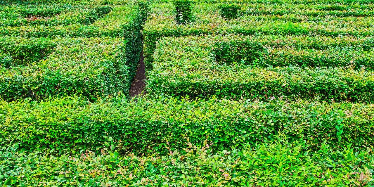 Wisata Alam di Korea Selatan gimnyeong maze park