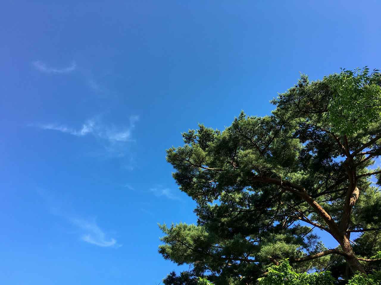 Daya Tarik Wisata Korea Selatan Hyehwa-dong