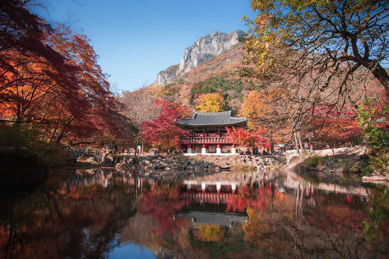 Musim yang Ada di Korea musim gugur
