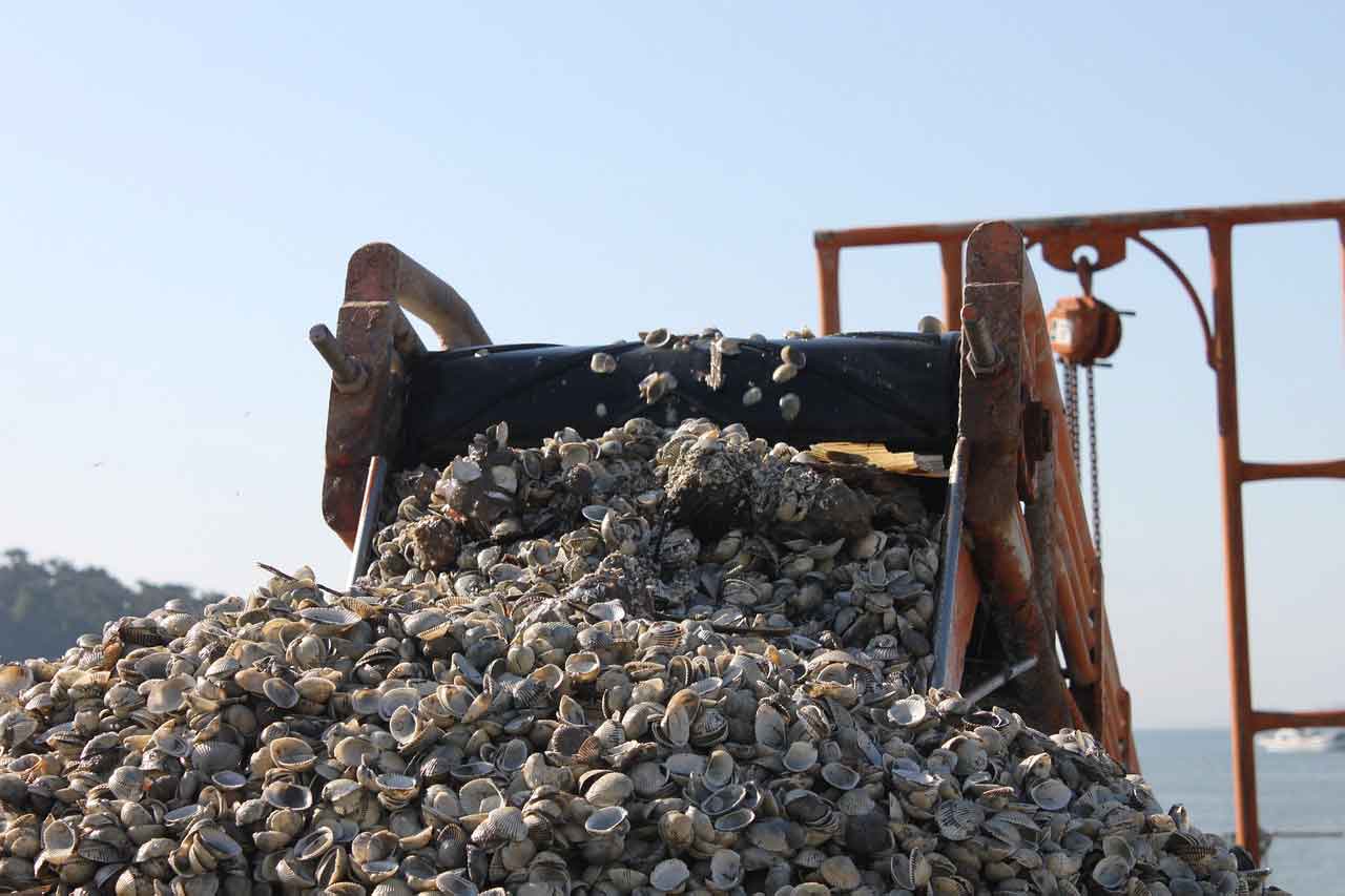 Museum di Korea namhae treasure island garlic land