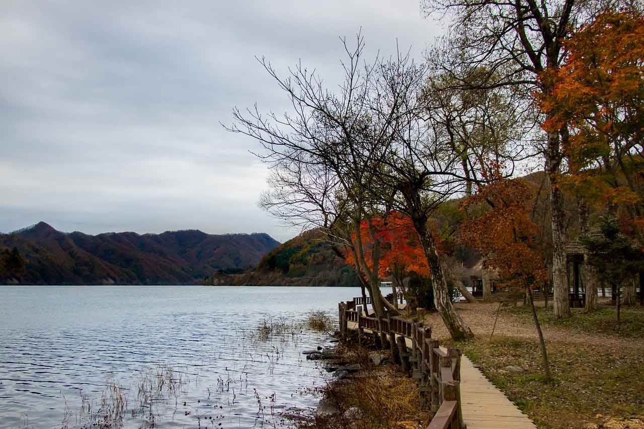 Wisata Pulau di Korea Selatan nami island