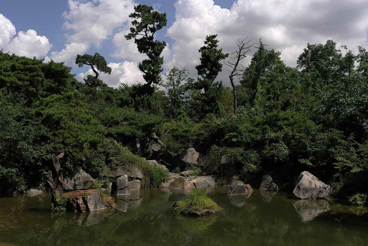Tempat Healing di Korea Selatan National garden