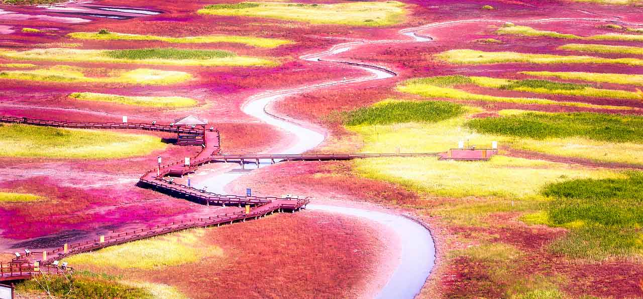 Tempat Healing di Korea Selatan Taepyung salt farm