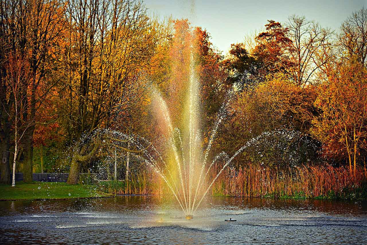 Tempat Wisata Populer di Amsterdam Vondelpark