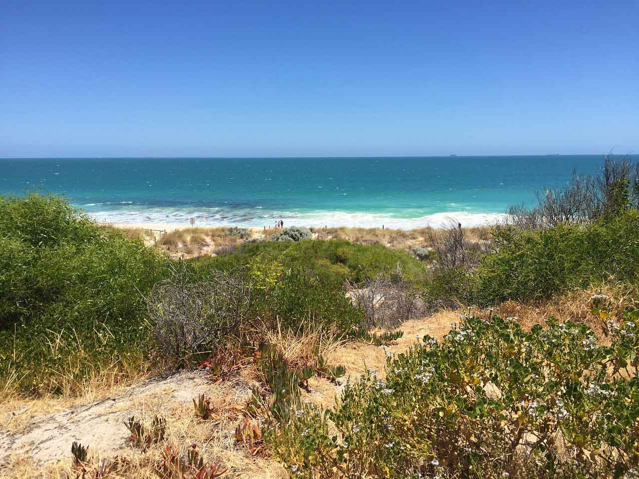 Wisata Pantai Terbaik di Australia Cottesloe Beach