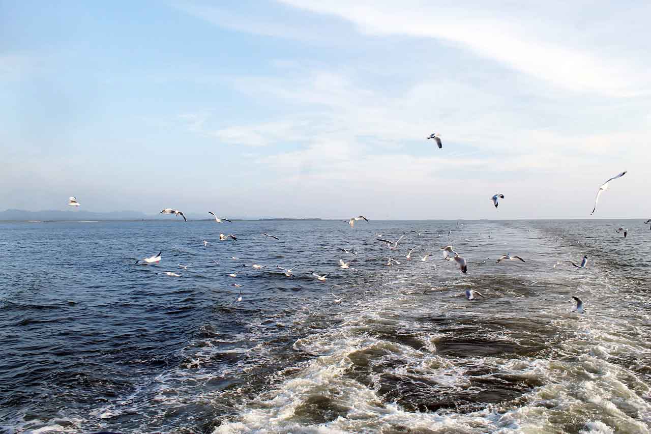 Wisata Pantai Terbaik di Kanada Cox Bay Beach
