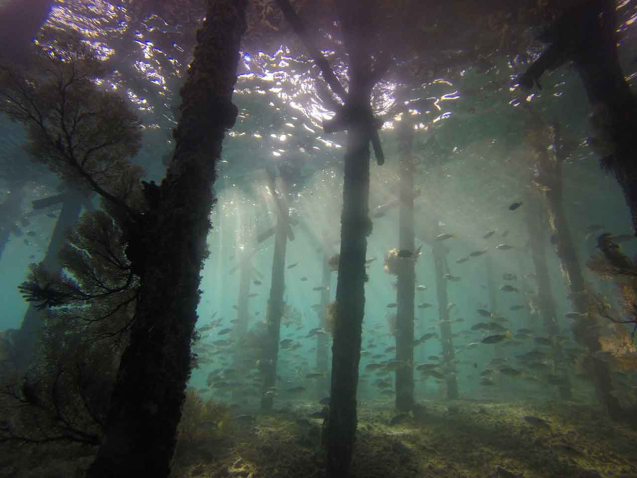 Wisata Pantai Terbaik Di Indonesia Derawan