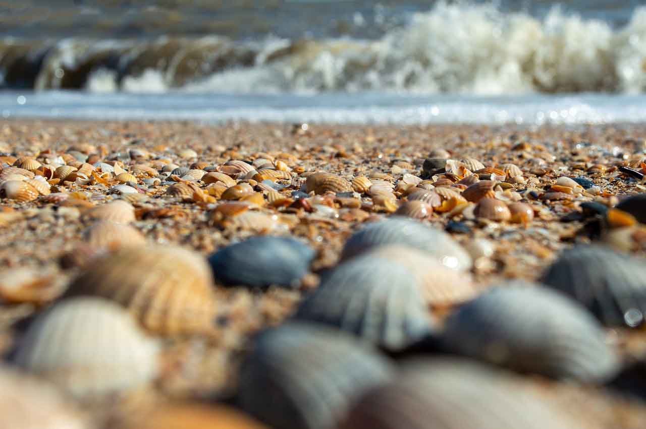 Wisata Pantai Terbaik di Rusia Pantai Di Nomor Skye