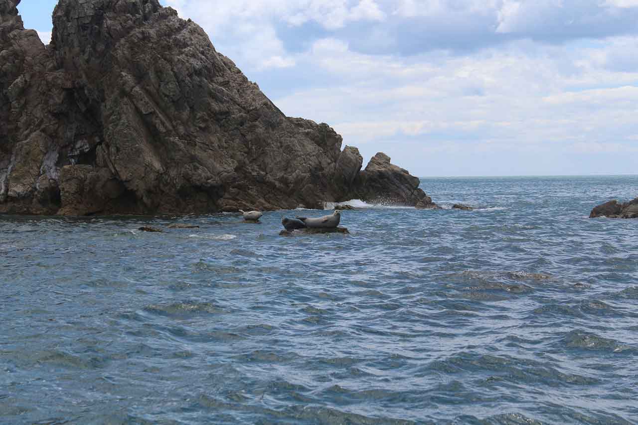 Wisata Pantai Terbaik di Rusia Pantai Nakhodka