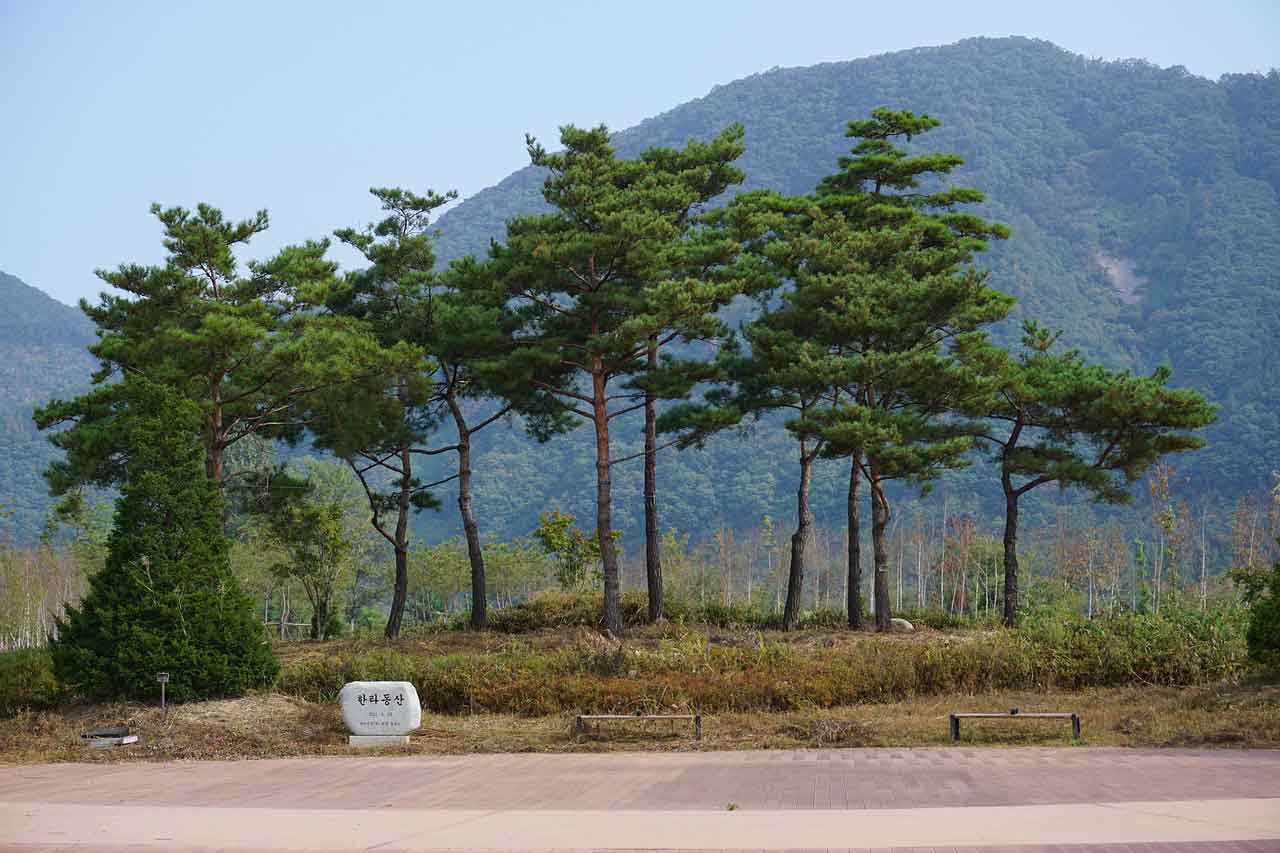 Panduan Liburan ke Nami Island 2