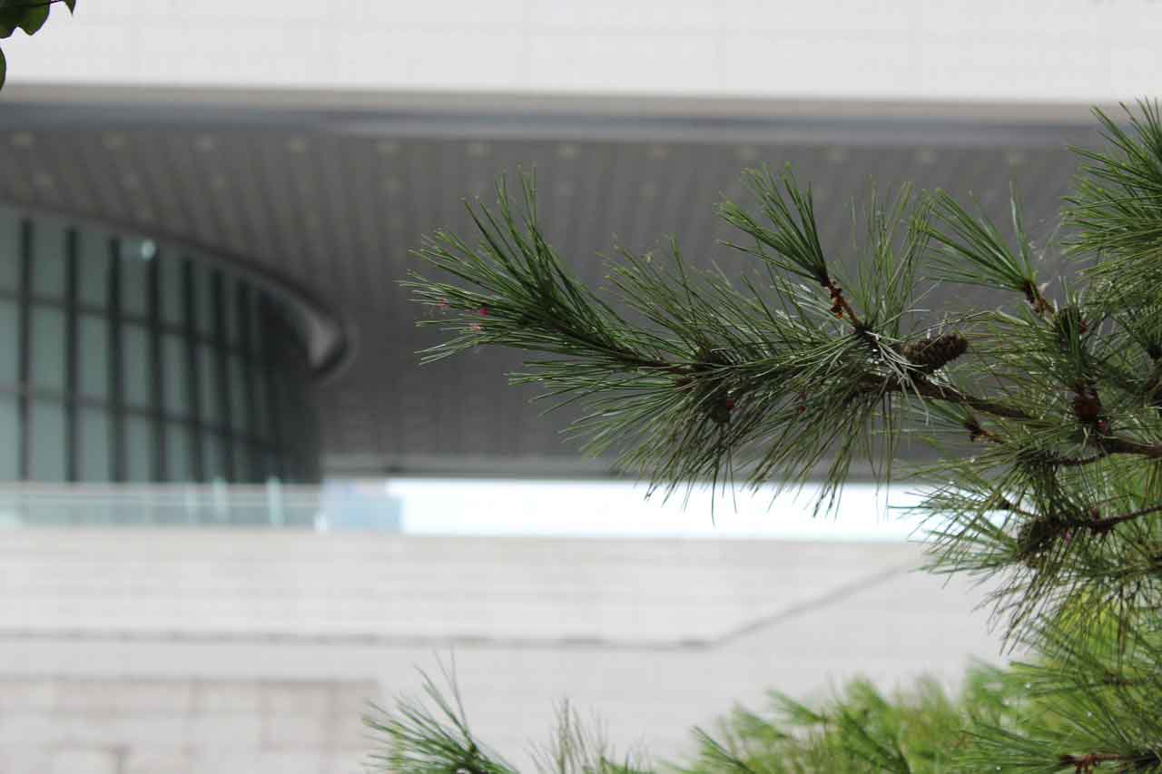Tempat Bersejarah di Korea Selatan National Museum of Korea