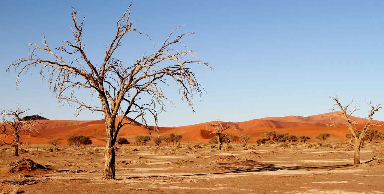Wisata Halal di Afrika Cagar Alam Kalahari