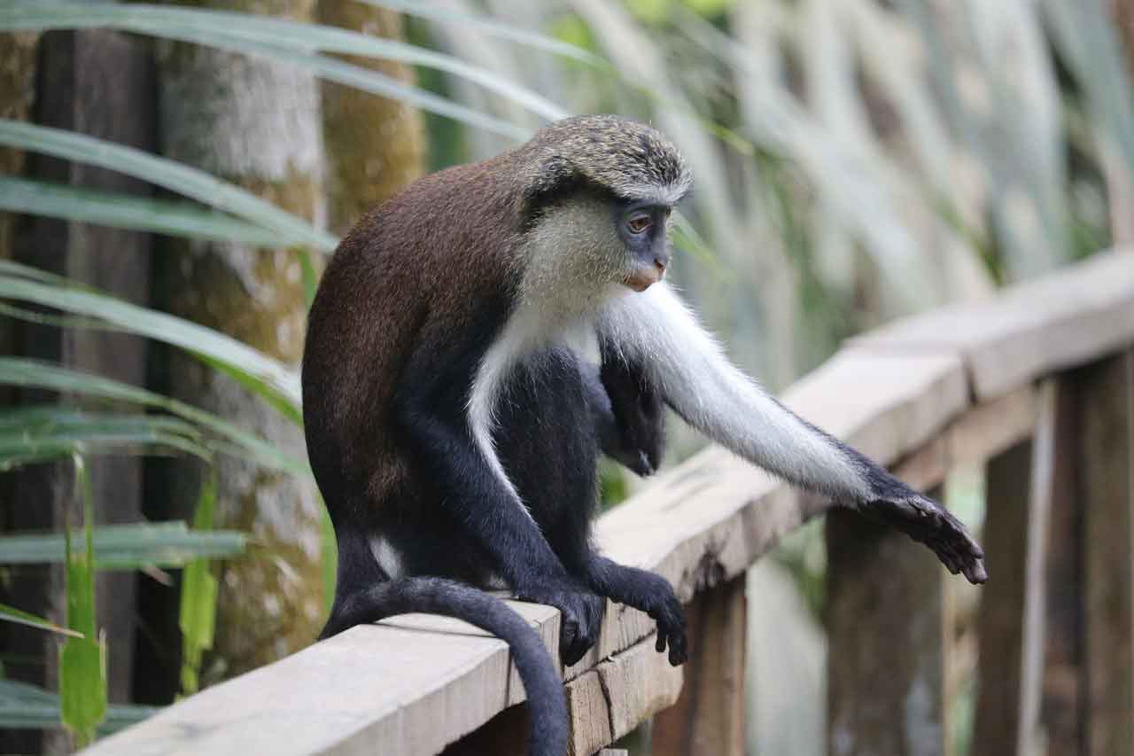 Wisata Halal di Afrika Freedom Park Lagos