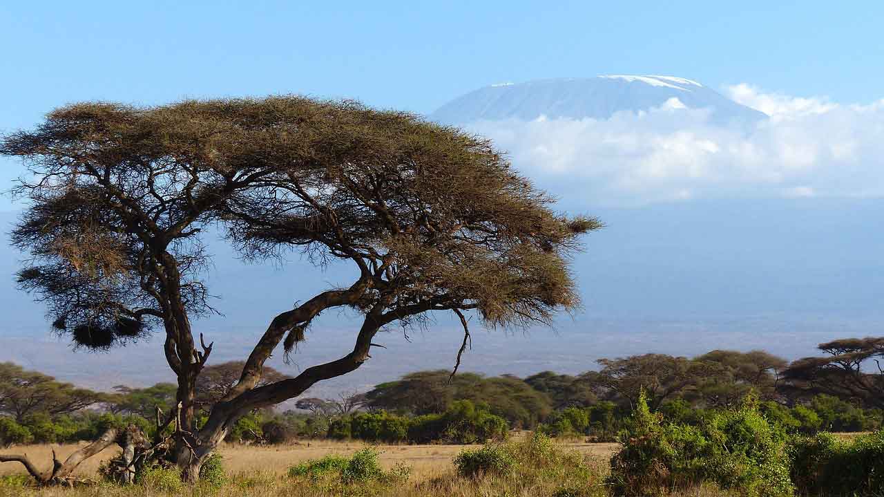 Wisata Halal di Afrika Taman Nasional Amboseli