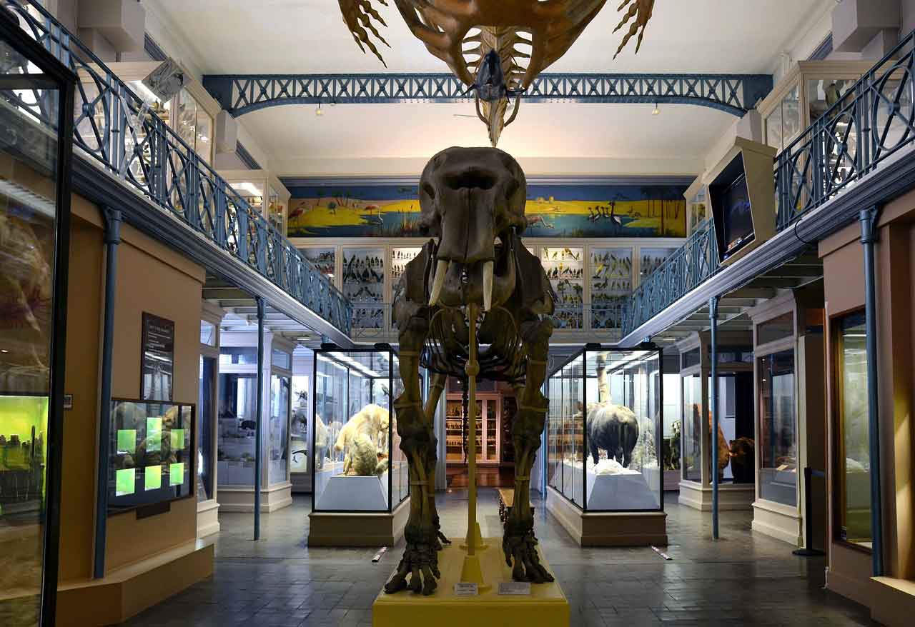 Museum Sejarah di Prancis grande galerie