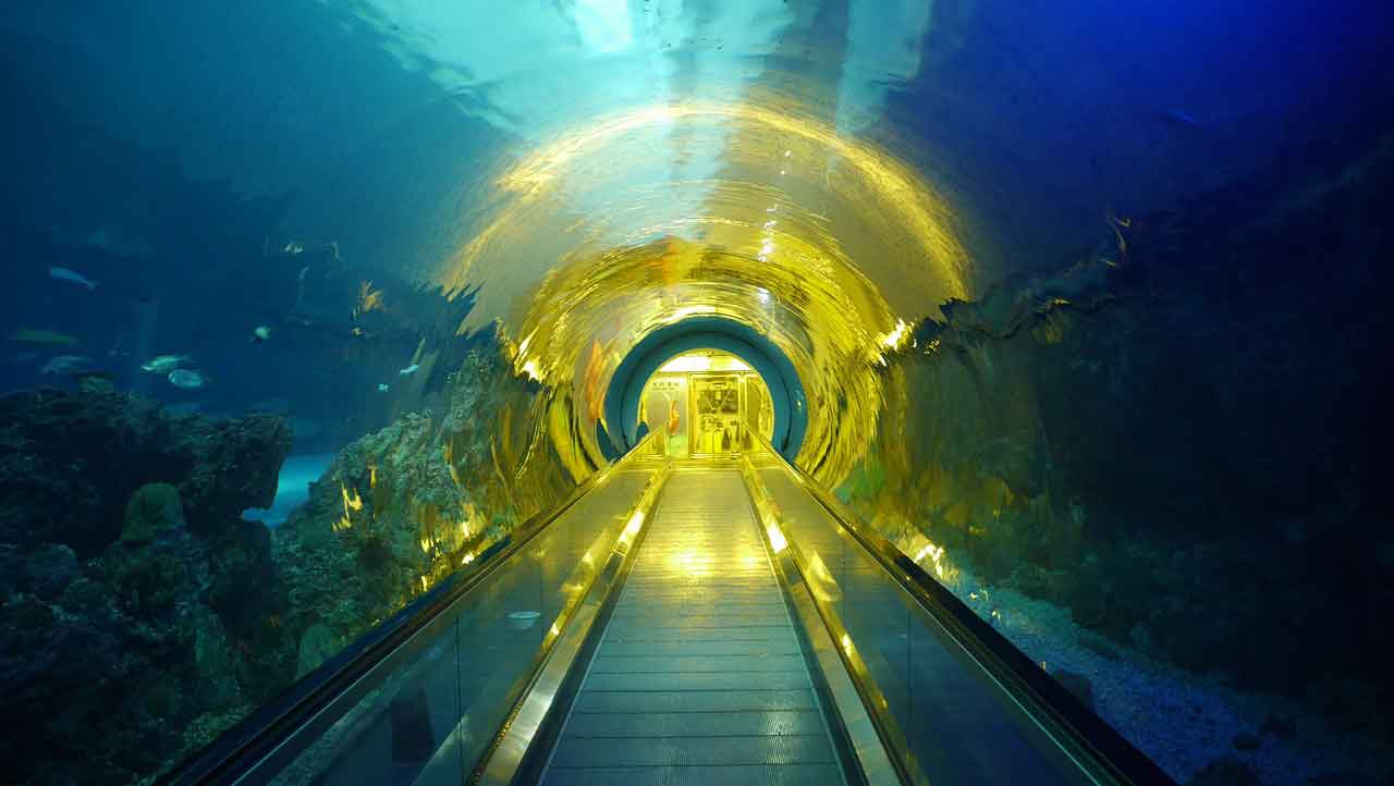 Museum Sejarah di Taiwan national museum of marine biology and aquarium