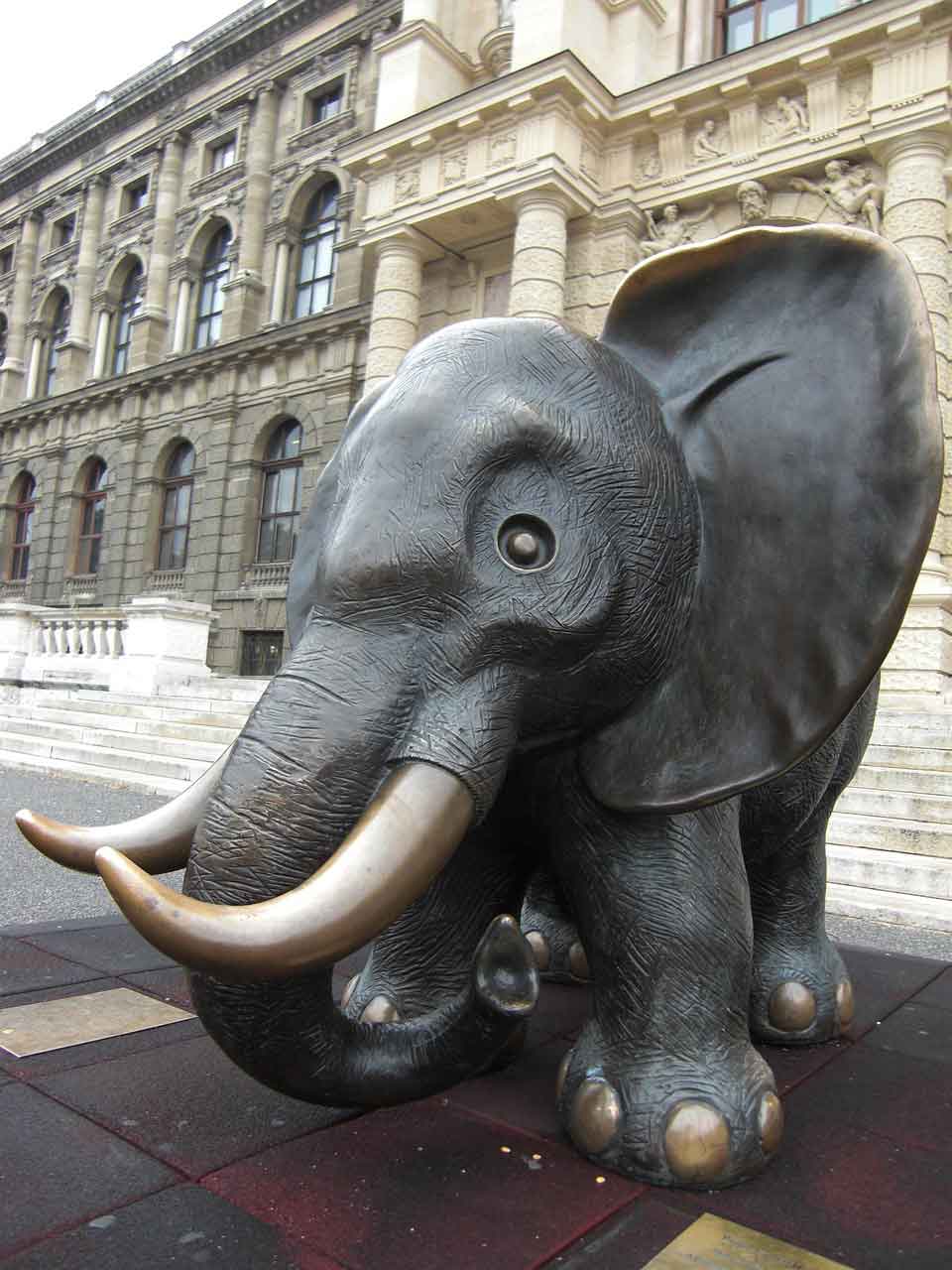 Museum Sejarah di Austria the natural history museum