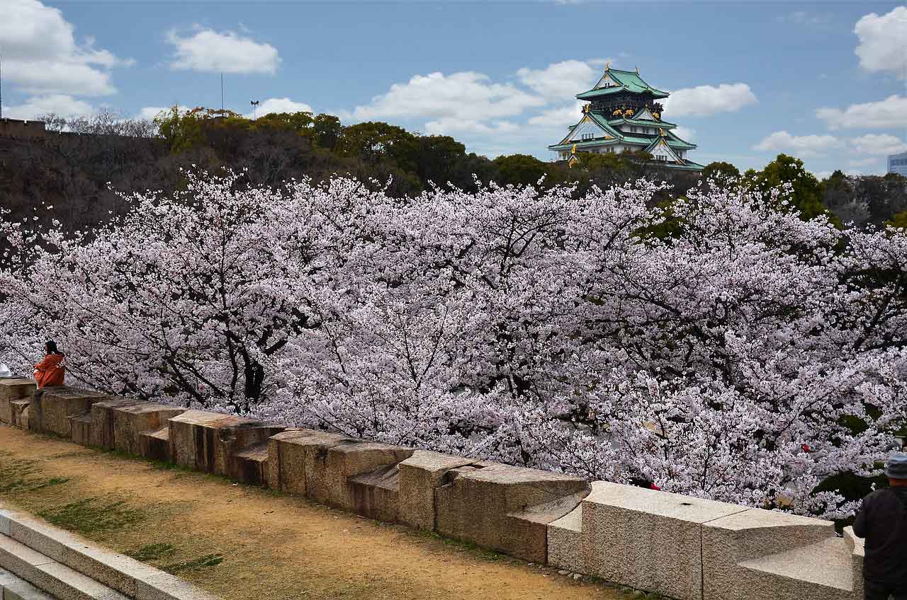 Wisata Halal di Jepang Kansai