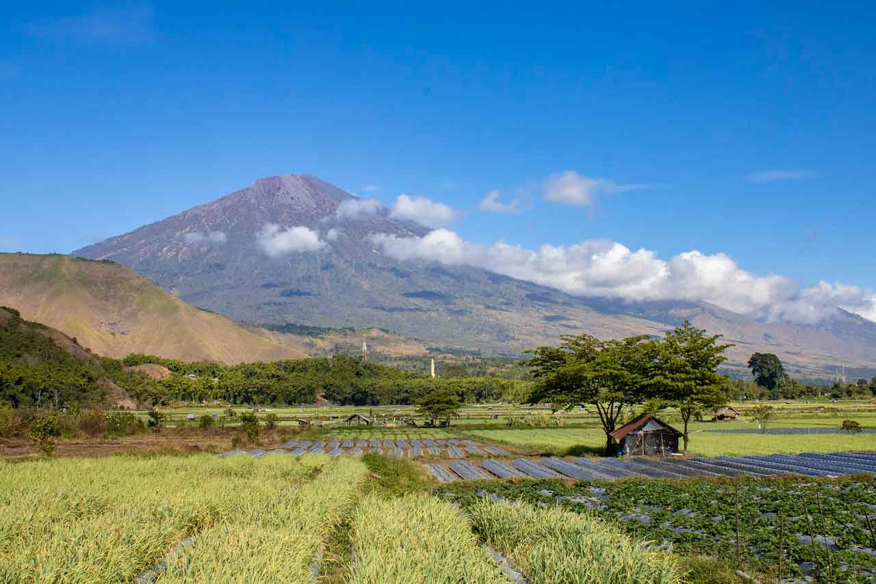 Wisata Halal di Lombok makam batu layar