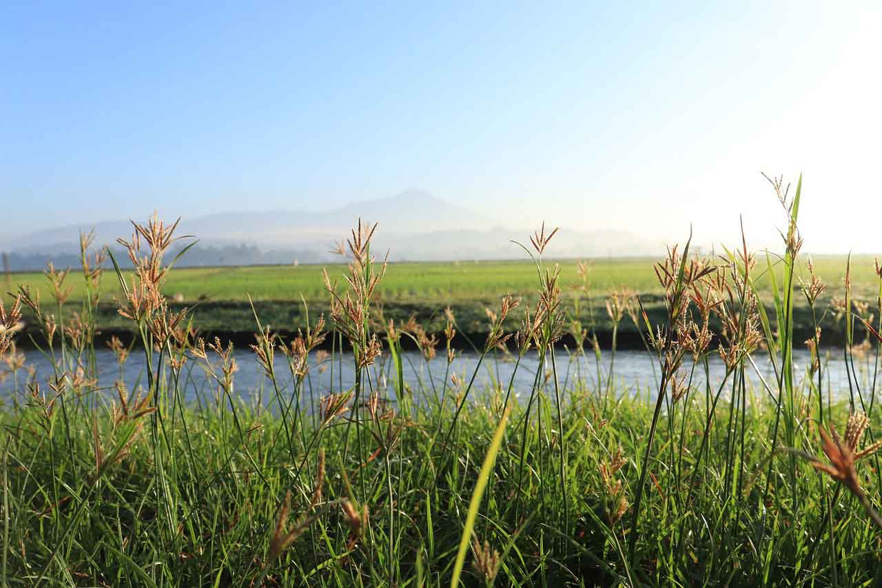 Wisata Halal di Indonesia Kauman