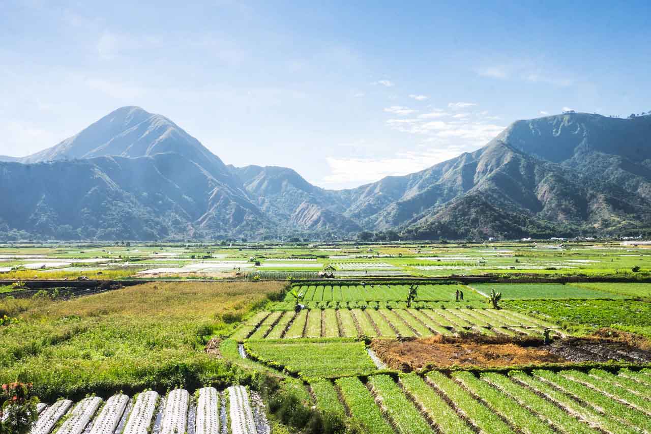 Wisata Halal di Lombok pedesaan setanggor