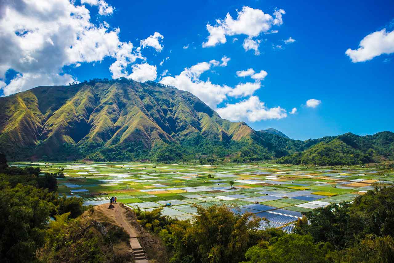 Wisata Halal di Lombok Sayur Ares