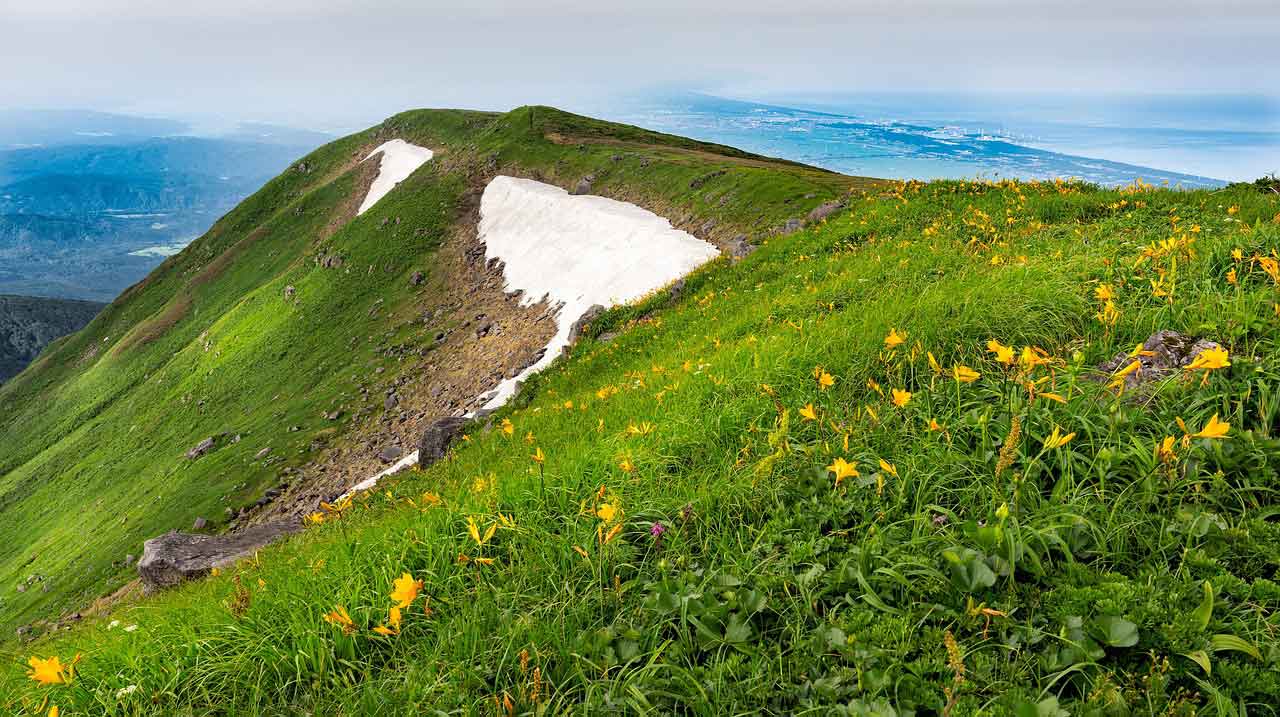 Wisata Halal di Jepang Tohoku