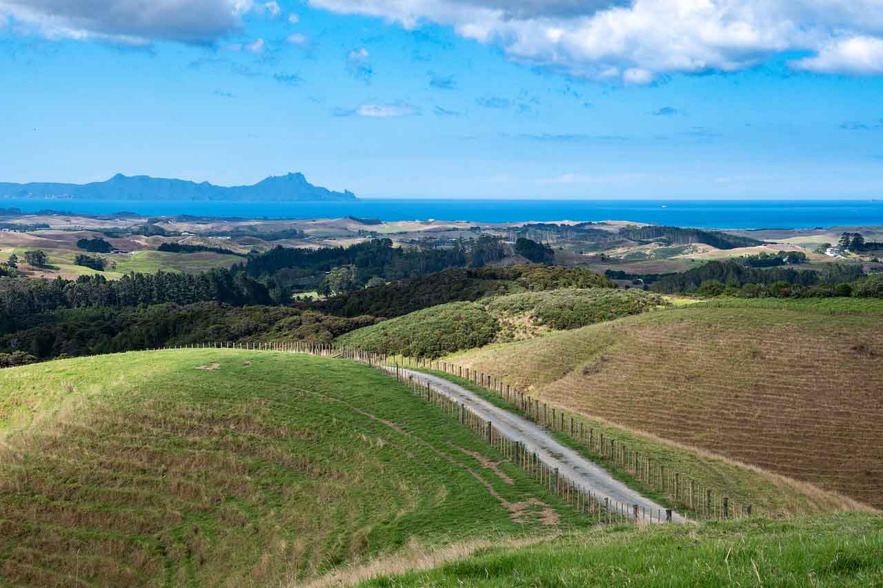 Wisata Halal di Selandia Baru Mt Eden