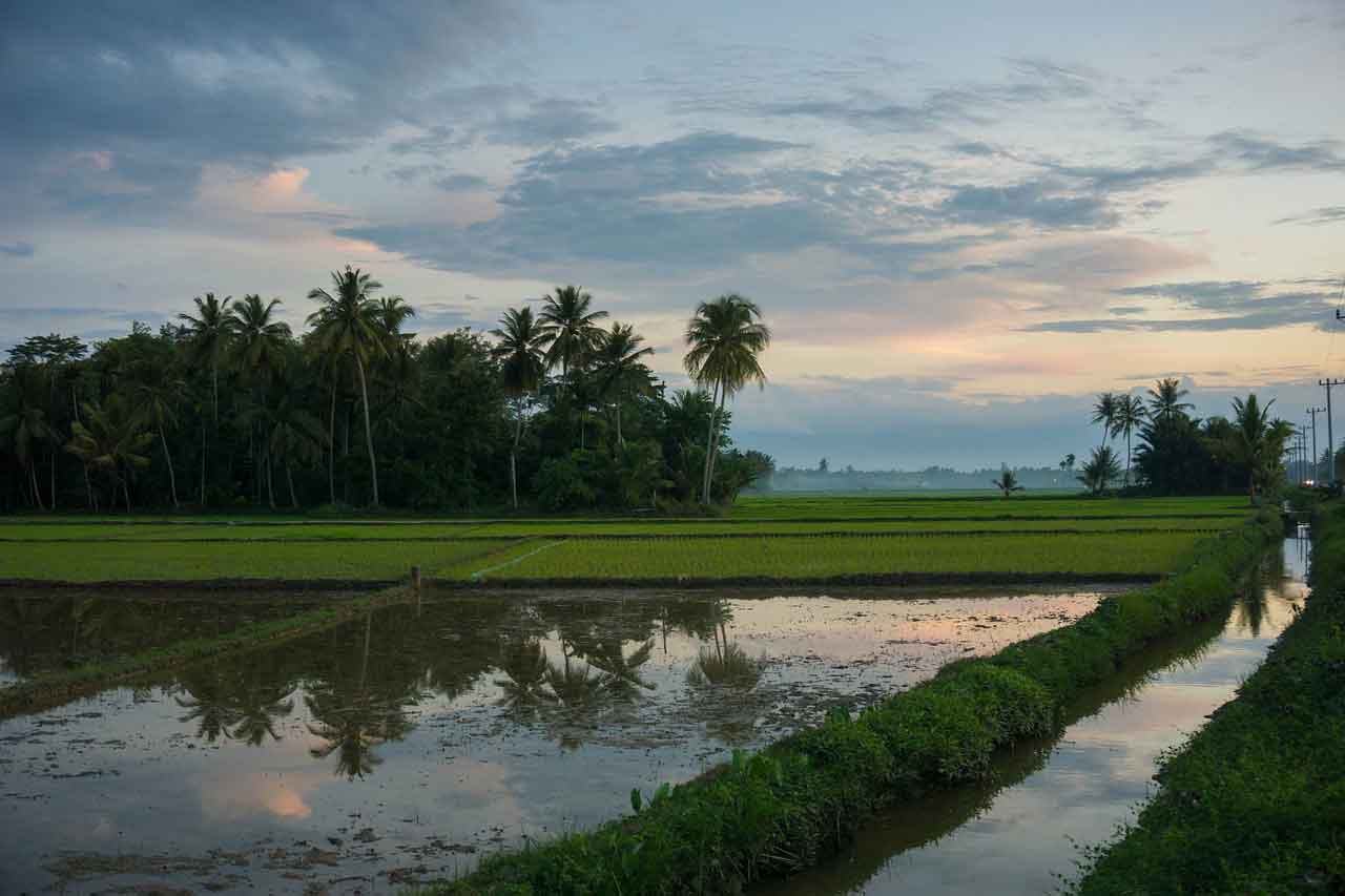 Wisata Halal di Aceh Wisata Alam Ketambe