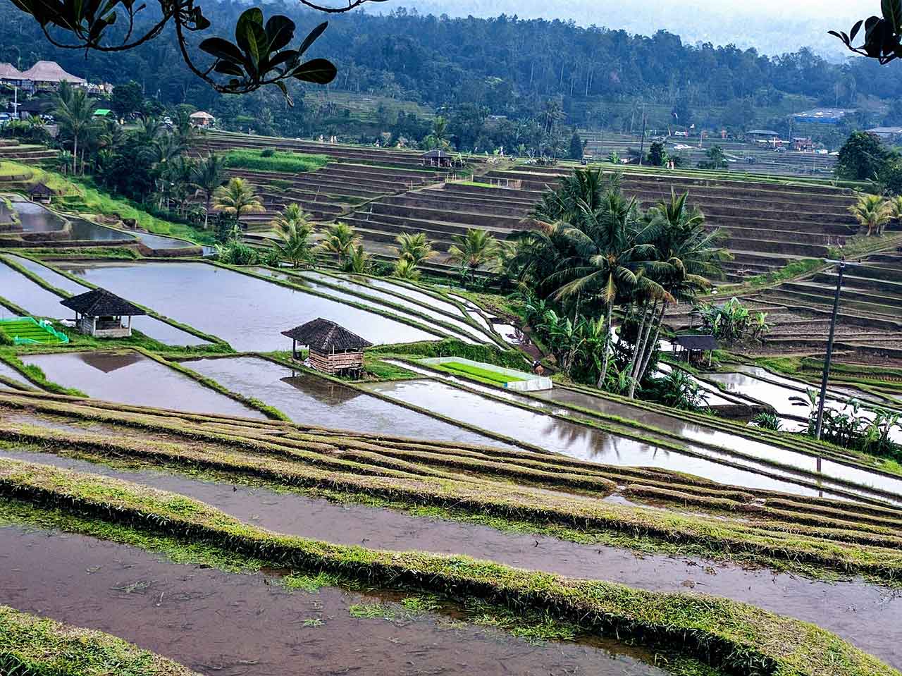 Wisata Halal di Bali Puja Mandala