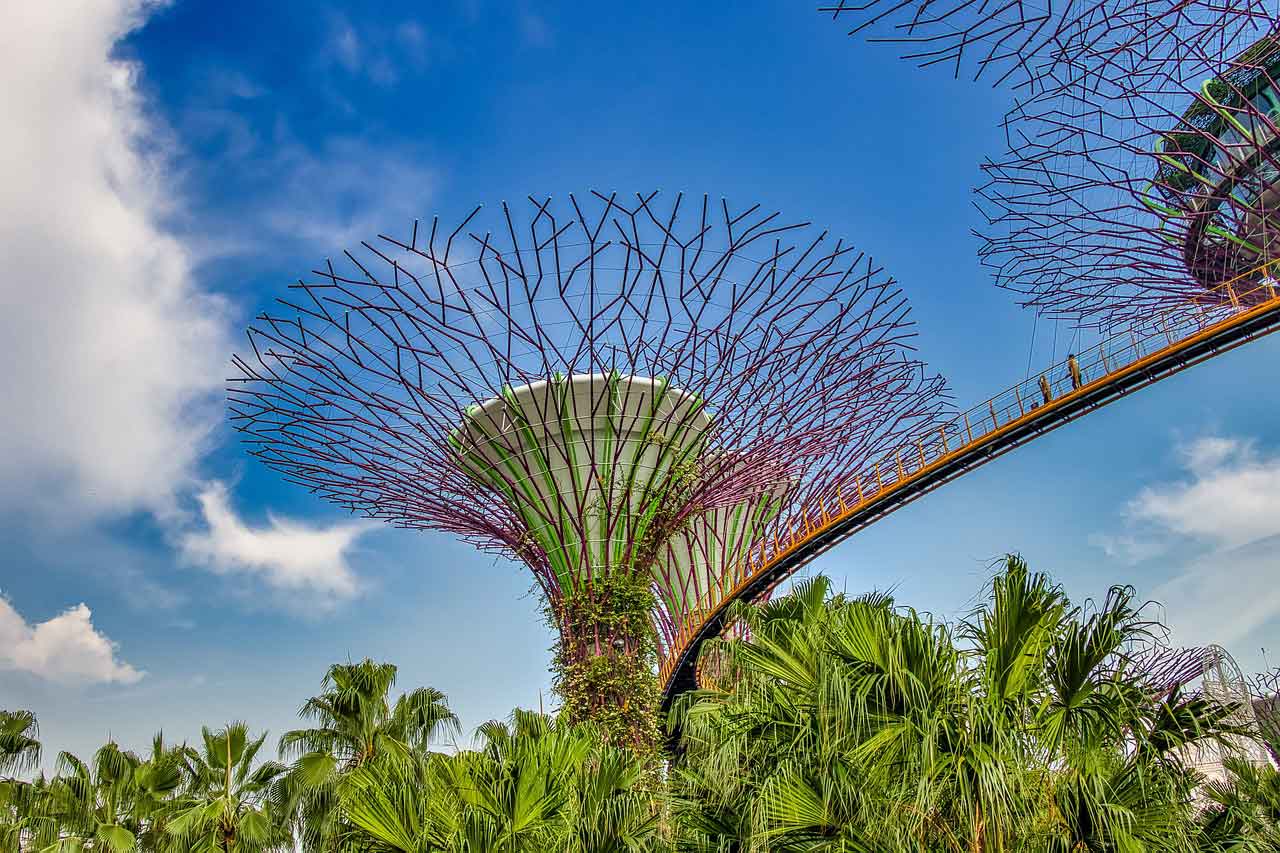 Wisata Kuliner Halal di Singapura The Halia