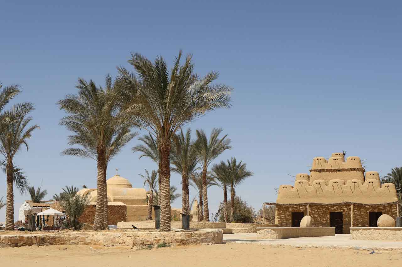 Wisata Halal di Timur Tengah Fayoum Oasis