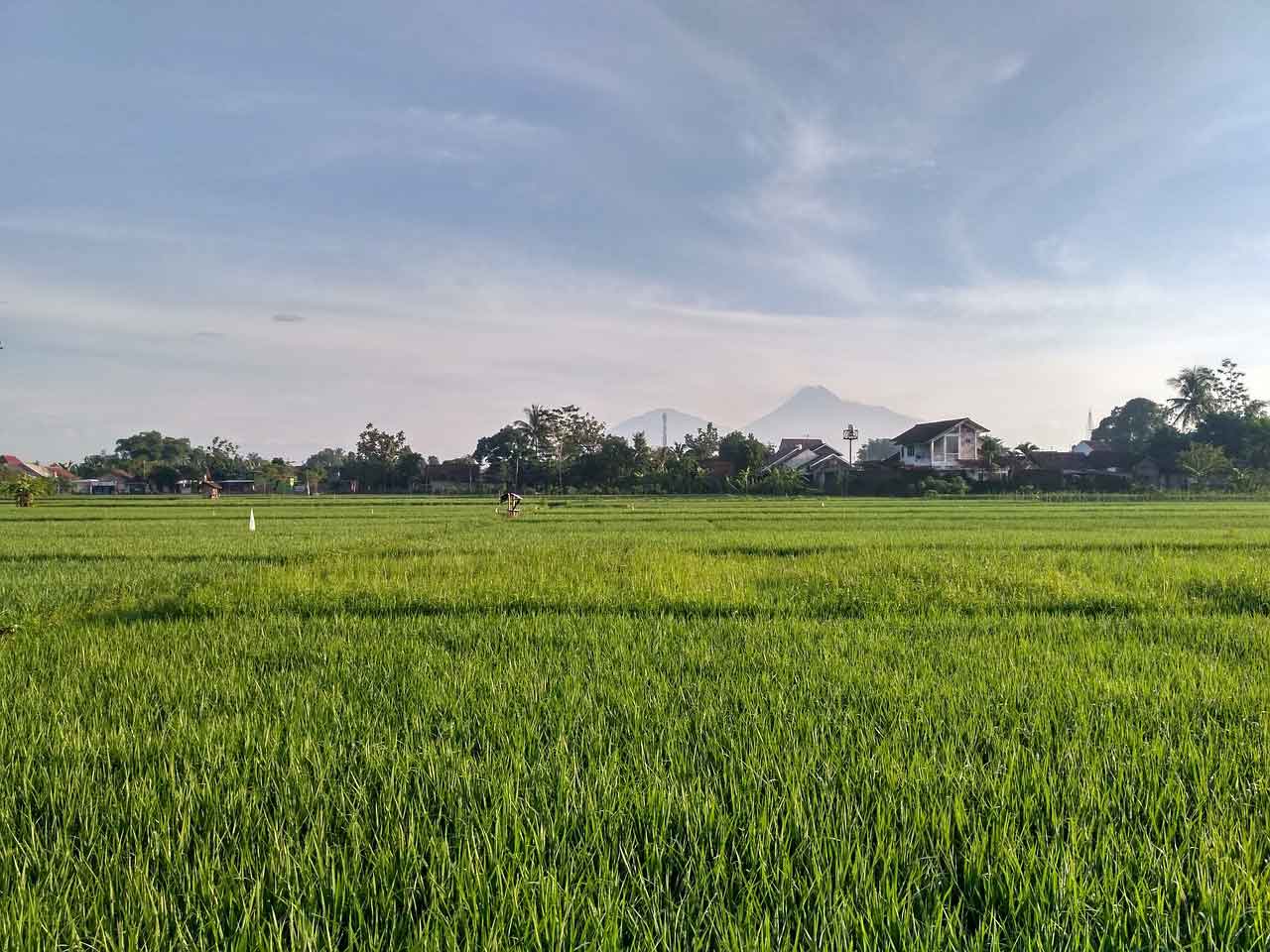 Wisata Halal di Yogyakarta dusun mlangi