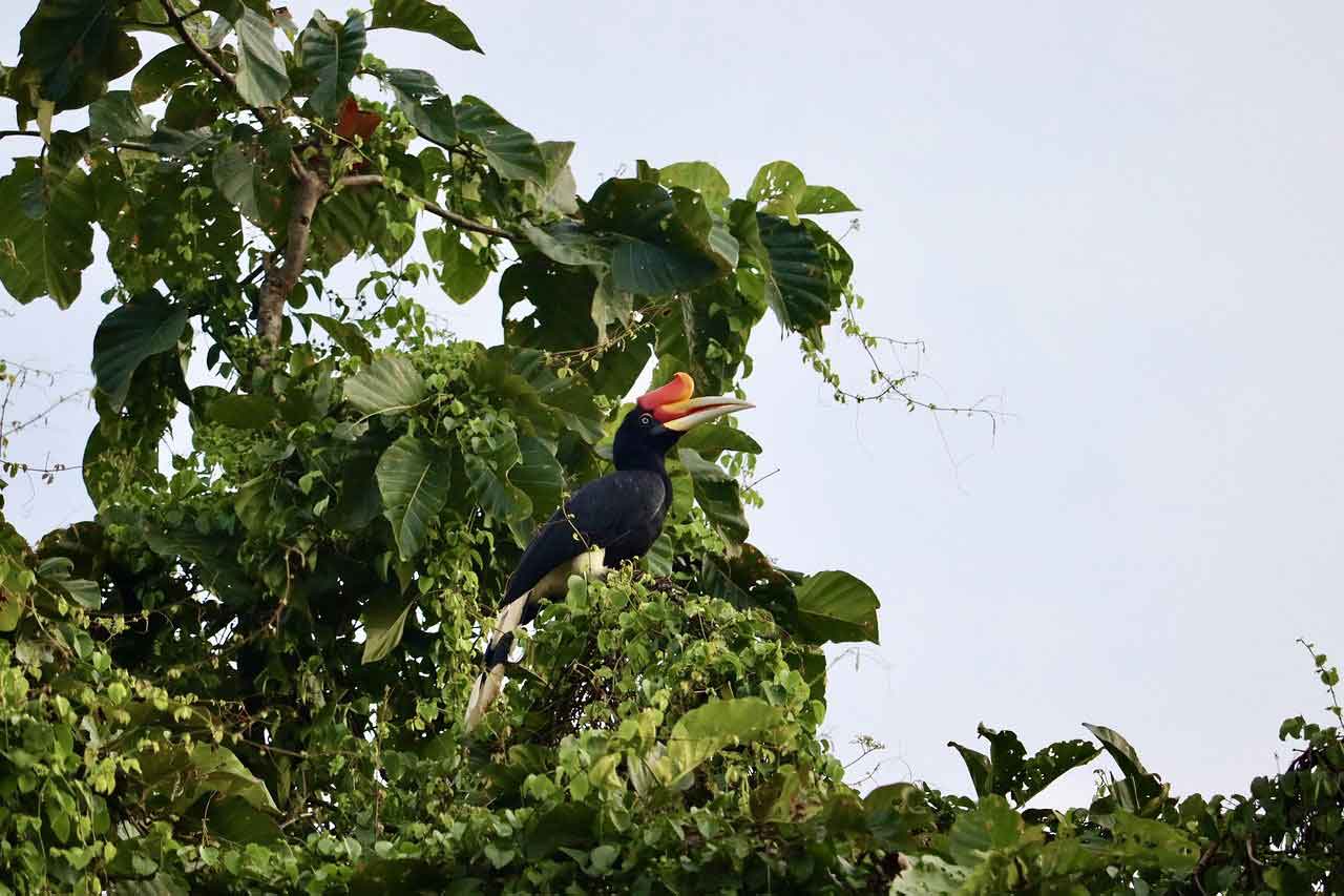 Wisata Halal di Pontianak Rumah Radakng