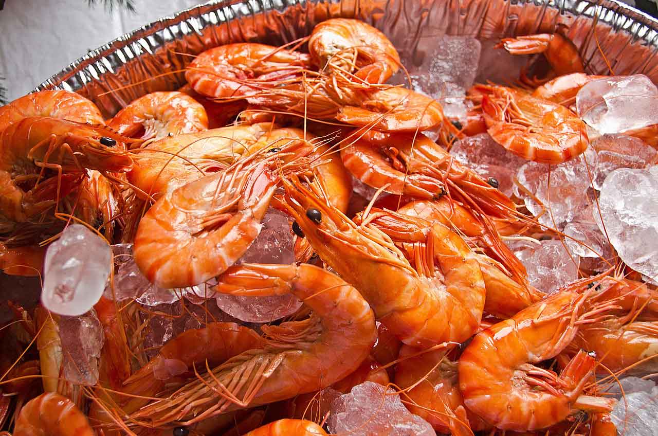 Wisata Kuliner Halal di Manado rumah makan raja oci
