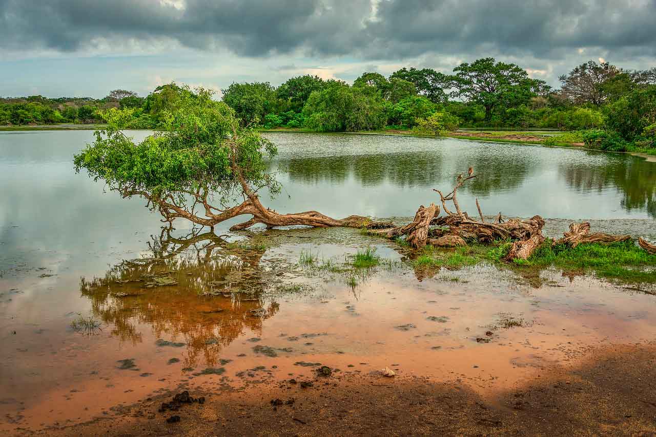 Wisata Religi di Sri Lanka Beira Lake