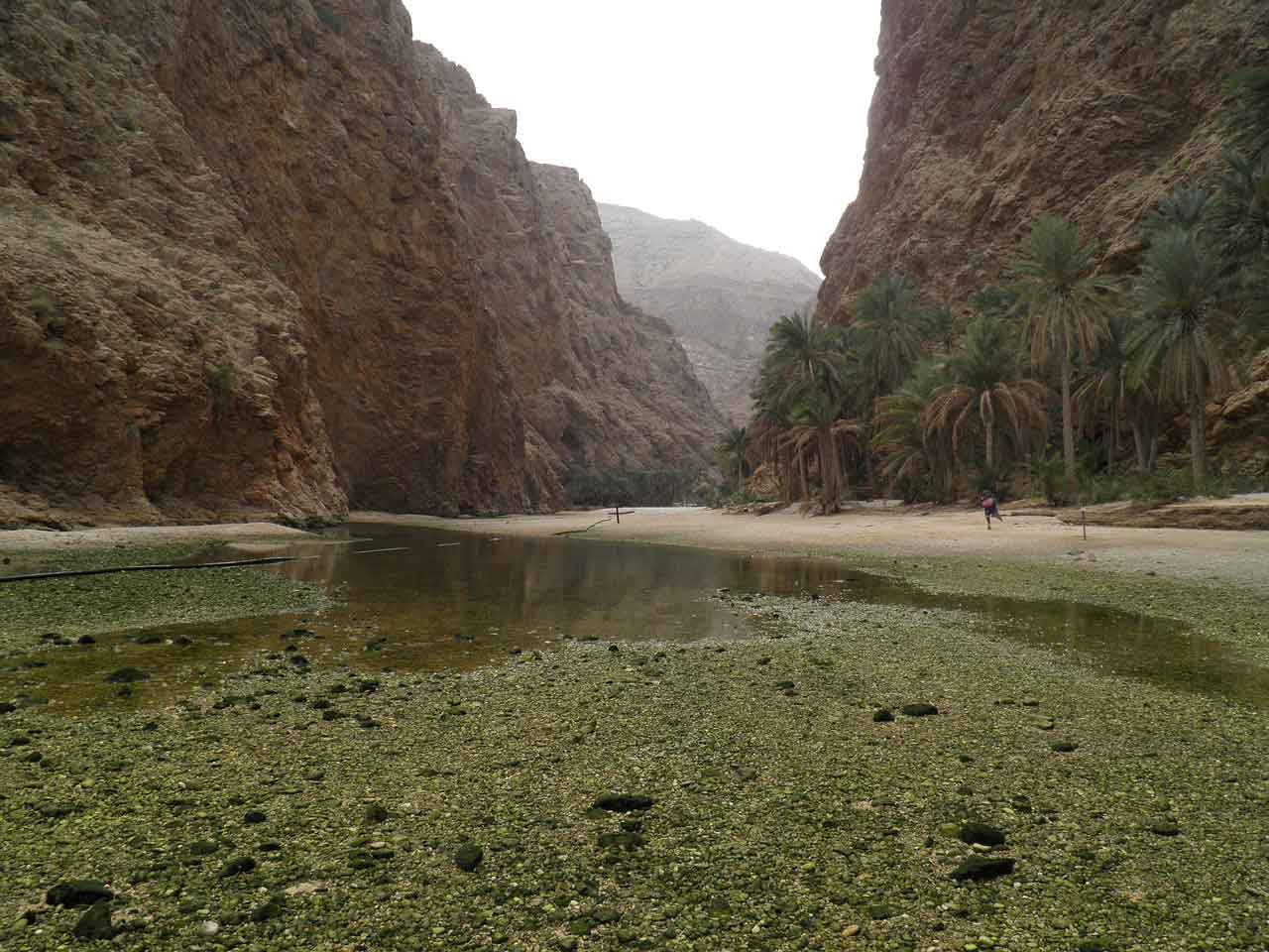 Wisata Religi di Oman Wadi Bani Khalid