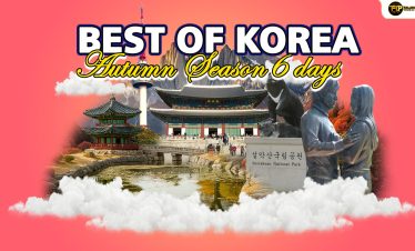 Paket Wisata Korea Musim Gugur 6 Hari: Seoul, Nami Island, dan Mt. Seorak