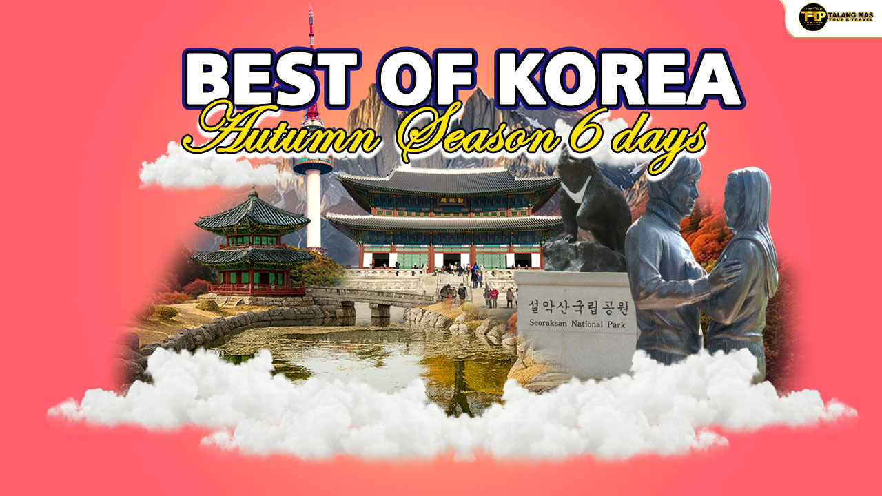 Paket Wisata Korea Musim Gugur 6 Hari: Seoul, Nami Island, dan Mt. Seorak