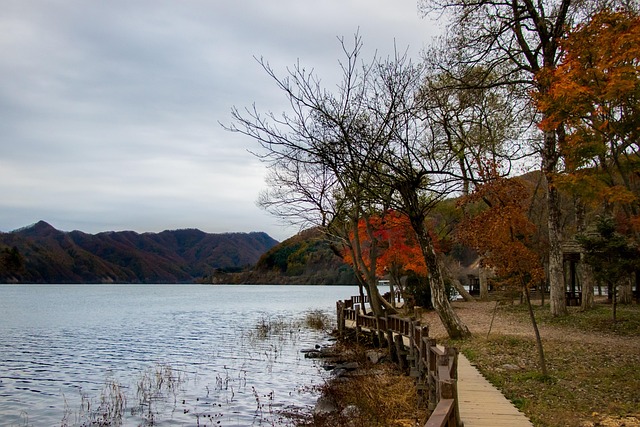Wisata ke Korea untuk Pemula : Persiapan Lengkap dan Rekomendasi Tempat Wisata Favorit